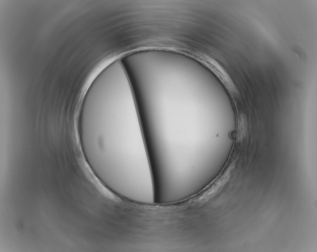 X0000113060812200908280946