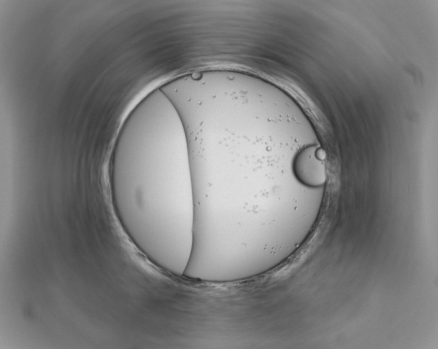 X0000113060814200908280946