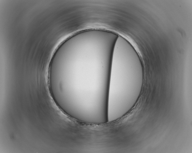X0000113060815200908280946
