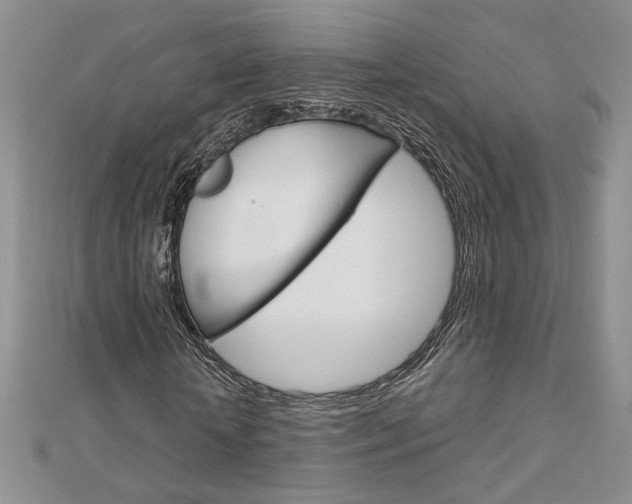 X0000113060818200908280945