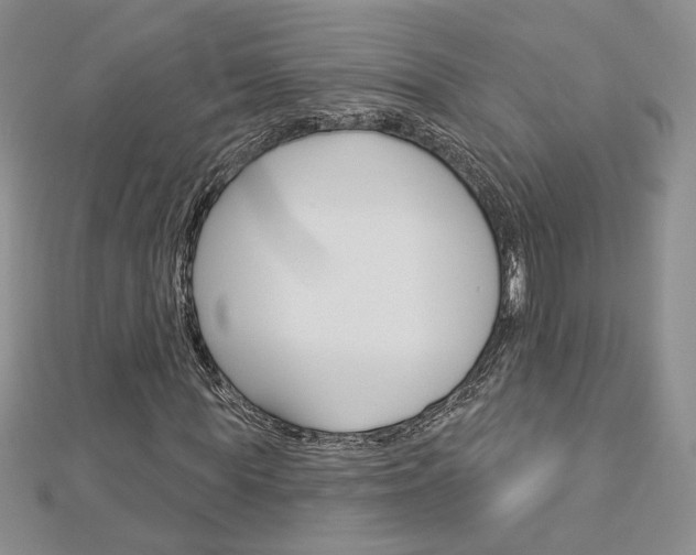 X0000113060819200908280945