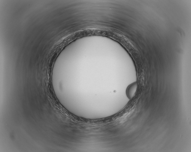 X0000113060821200908280945
