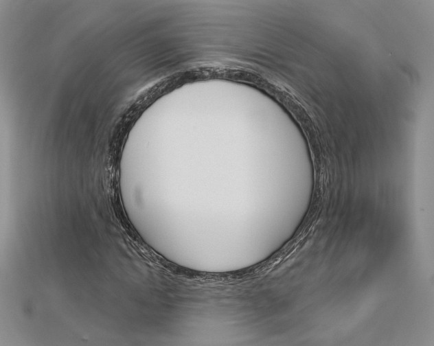 X0000113060822200908280945