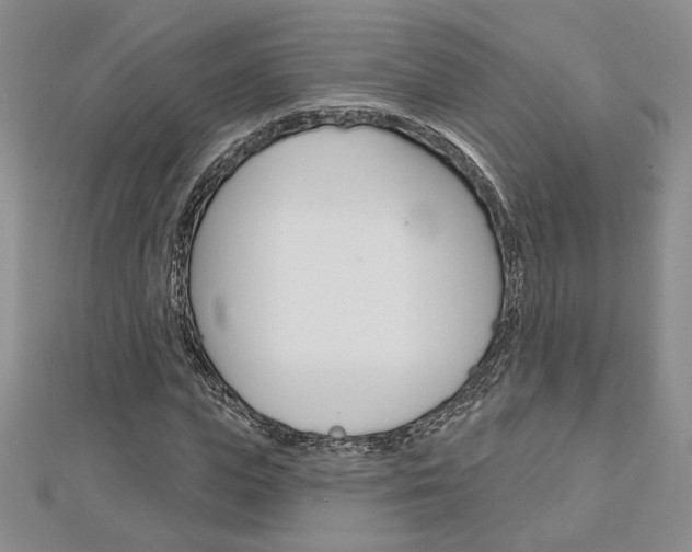 X0000113060823200908280945