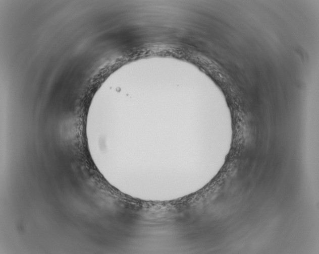 X0000113060824200908280945