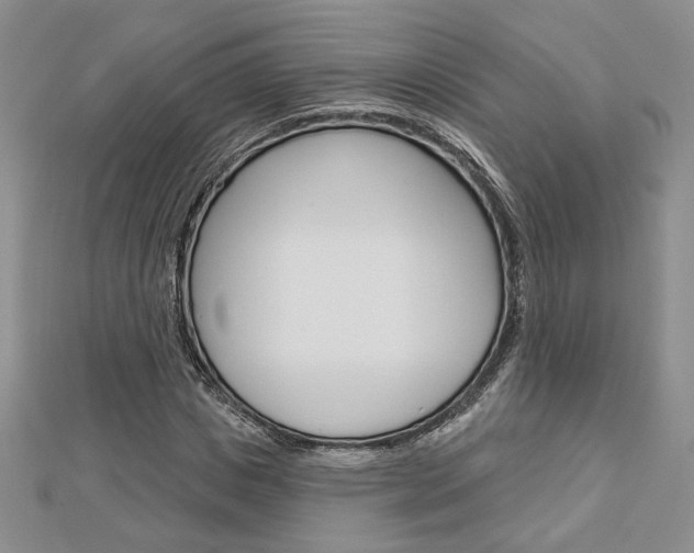 X0000113060825200908280945