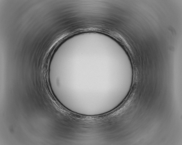 X0000113060827200908280945