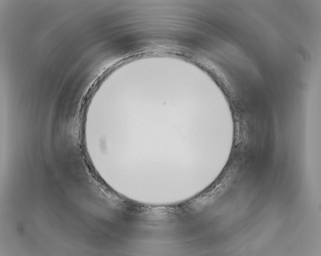X0000113060828200908280945