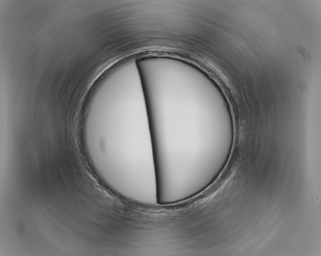 X0000113060829200908280945