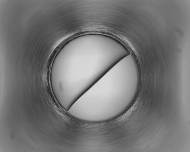 X0000113060830200908280945