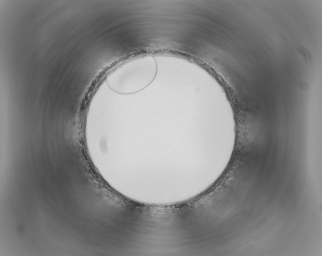 X0000113060832200908280945