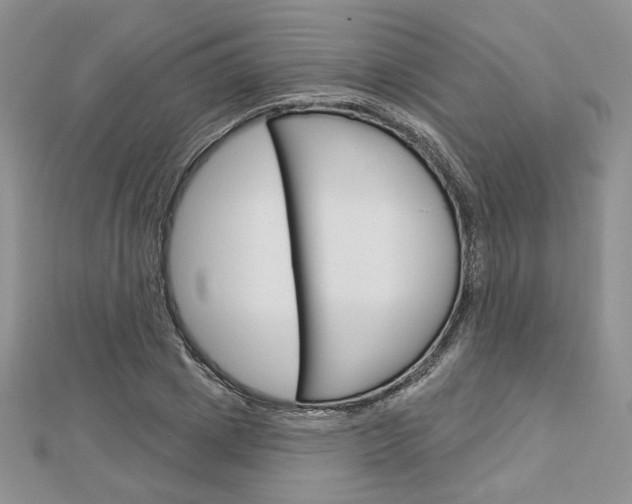 X0000113060833200908280945