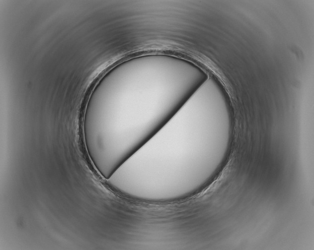 X0000113060834200908280945
