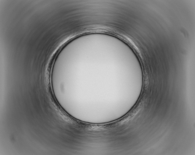 X0000113060835200908280945