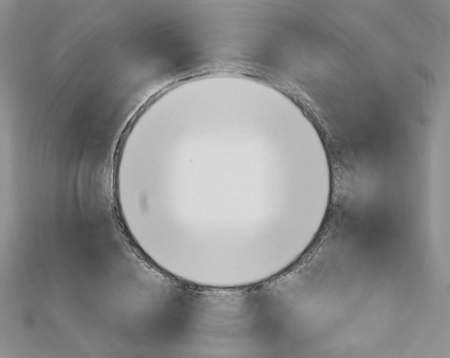 X0000113060836200908280945