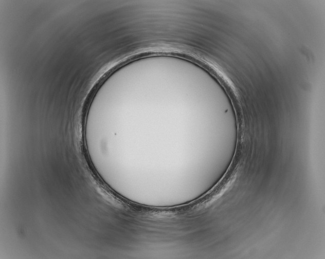 X0000113060837200908280945
