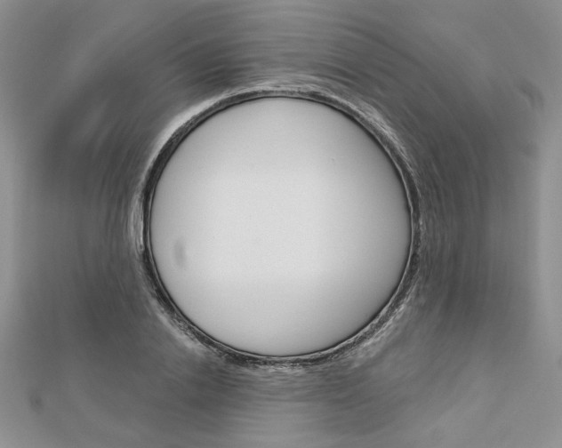 X0000113060838200908280945