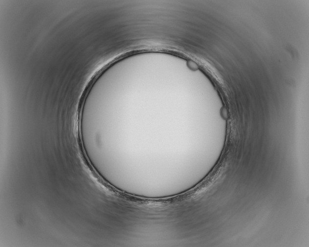 X0000113060839200908280945