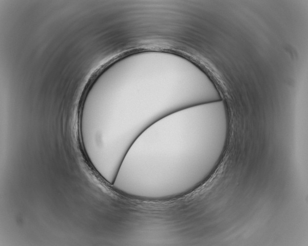 X0000113060840200908280945