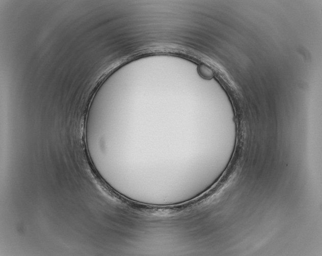 X0000113060841200908280945
