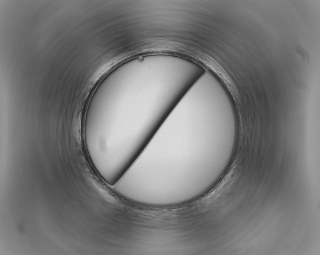 X0000113060842200908280945
