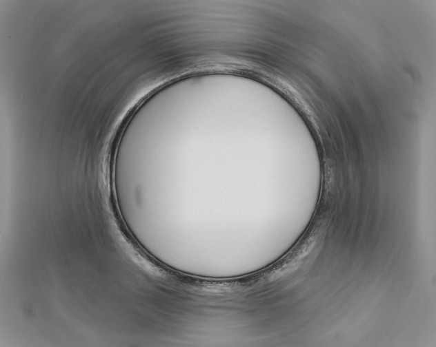 X0000113060843200908280945