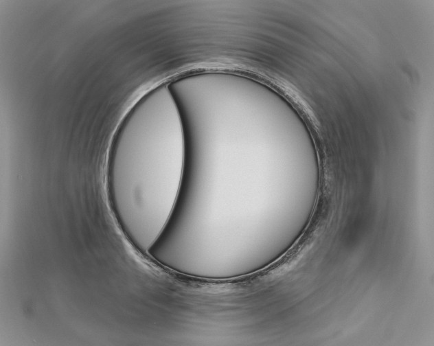 X0000113060845200908280945