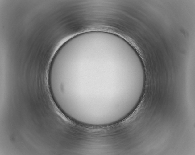 X0000113060846200908280945