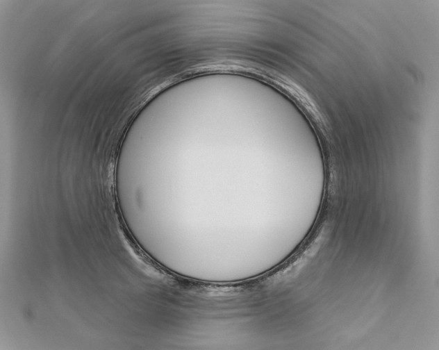 X0000113060849200908280946