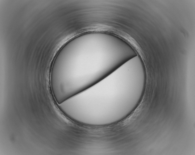 X0000113060850200908280946