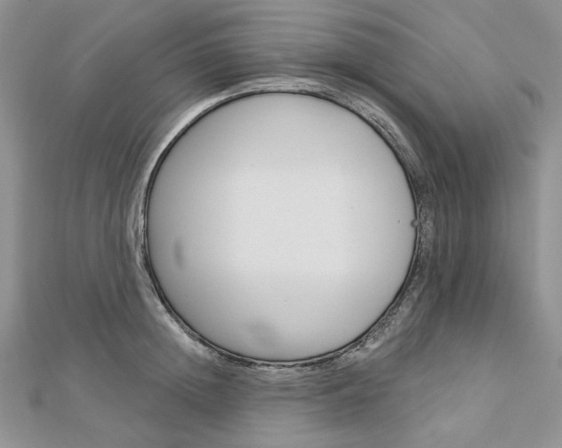 X0000113060852200908280946