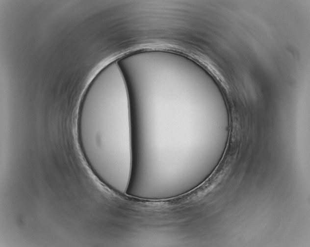 X0000113060853200908280946