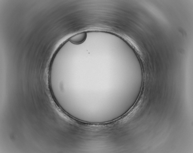 X0000113060854200908280946