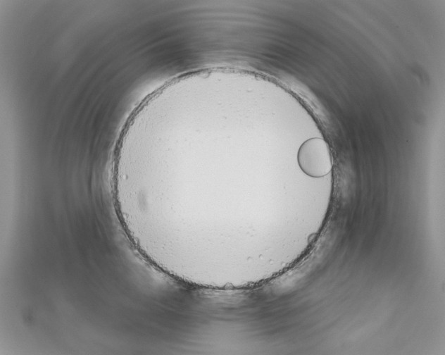 X0000113060856200908280946