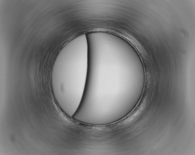 X0000113060857200908280946