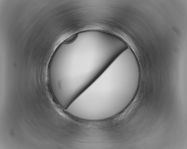 X0000113060858200908280946