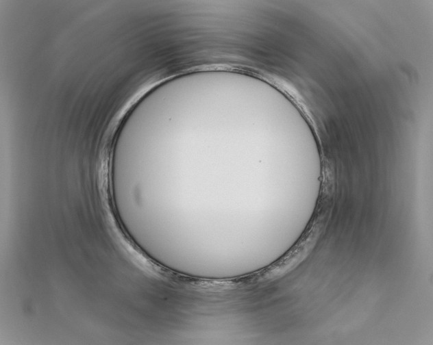 X0000113060859200908280946