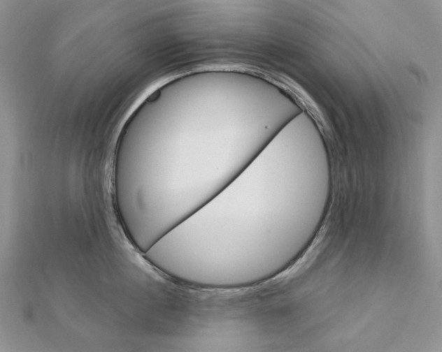 X0000113060860200908280946