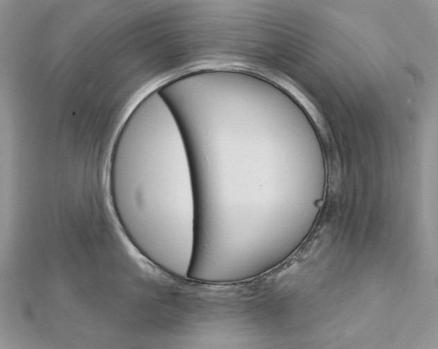 X0000113060861200908280946