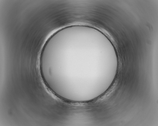 X0000113060862200908280946