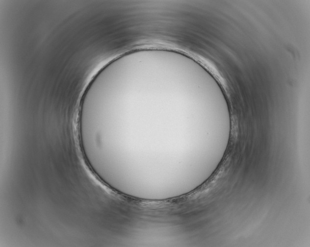 X0000113060863200908280946