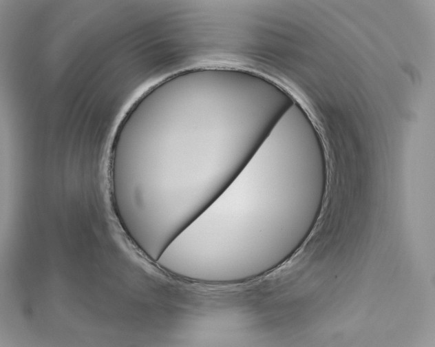 X0000113060864200908280946