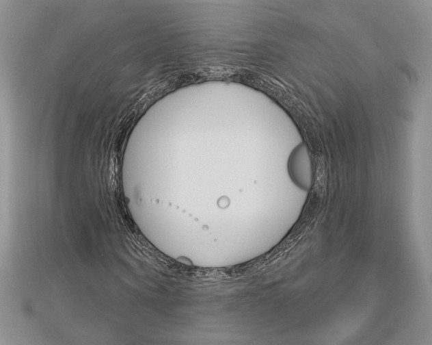 X0000113060866200908280945