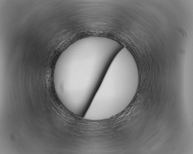 X0000113060867200908280945