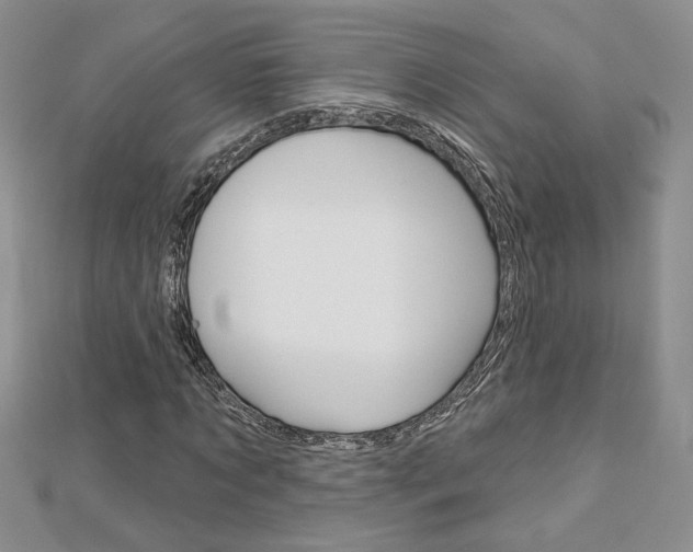 X0000113060869200908280945