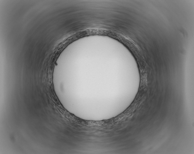 X0000113060870200908280945