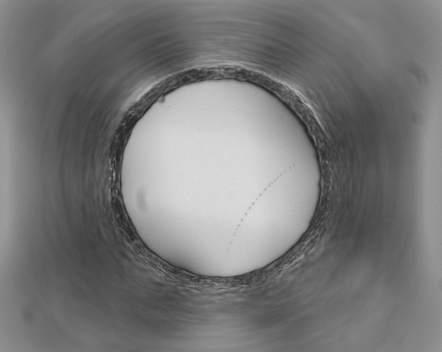 X0000113060871200908280945