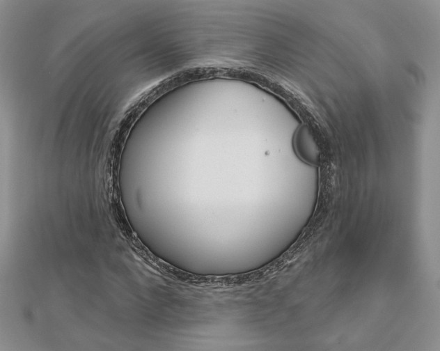 X0000113060872200908280945