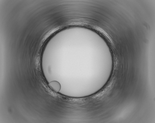 X0000113060874200908280945