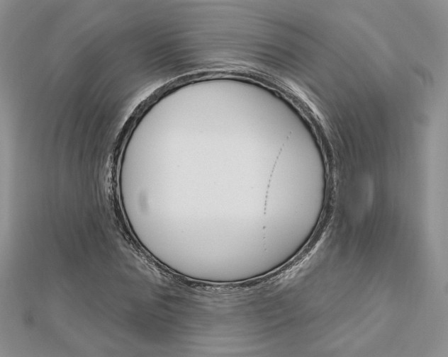 X0000113060875200908280945